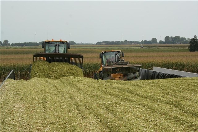 2 shovels op de kuil.