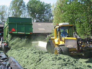 het mooi verspreid lossen in beeld